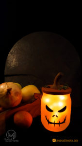 Halloween 2019 - Zucca picciolo grande- verticale